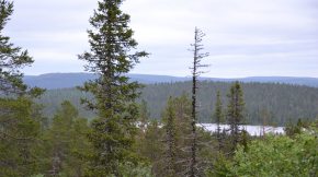 Ylläksen jylhät maisemat